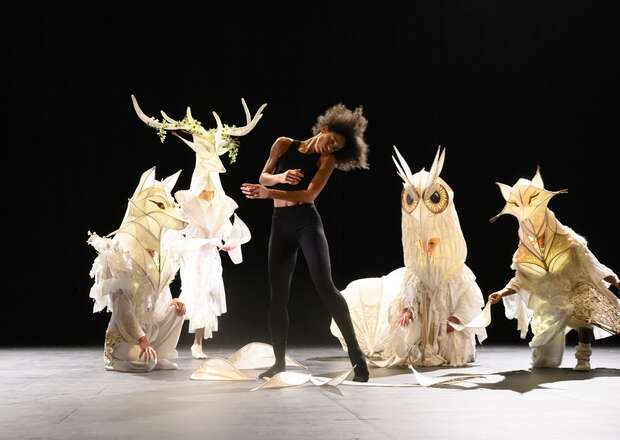 Vidéo Le Carnaval des animaux